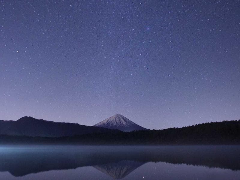 How Worldpackers Works: A Complete Guide for Beginners