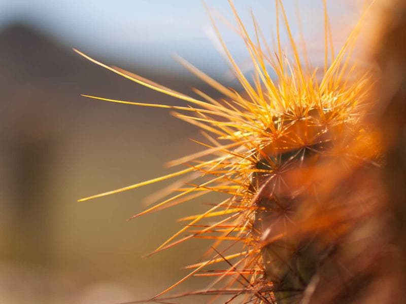 Slow Travel: Why You Should Rush Less and Experience More